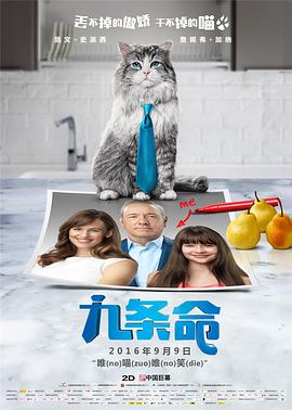 www小视频