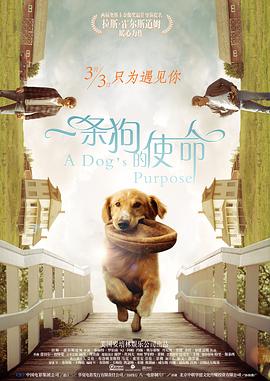 一根绳泳衣