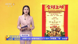 麻豆片
